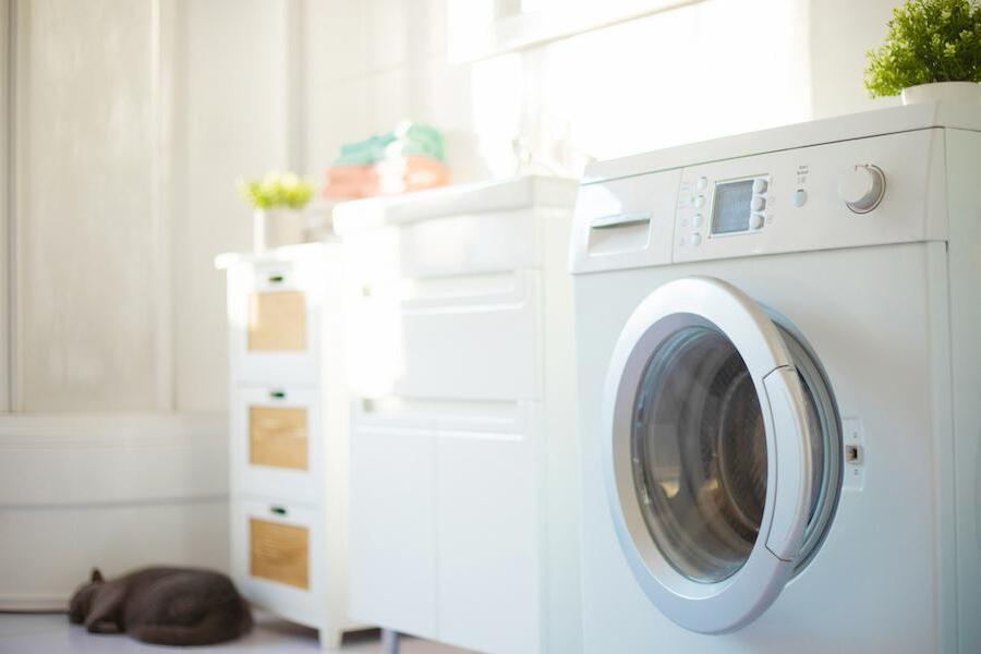 洗濯機から出続けるカビを取るには?発生理由と放置する危険性を知って予防策で清潔に