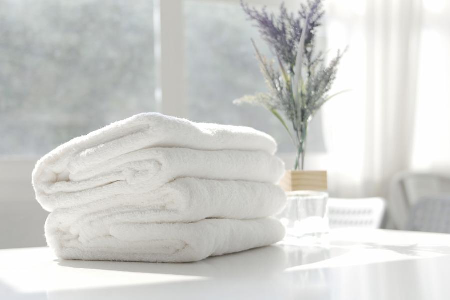 洗濯洗剤は粉末と液体どっちがいい？正しく使えば節水・時短効果も。洗浄力やコスパを比較して使い分けよう