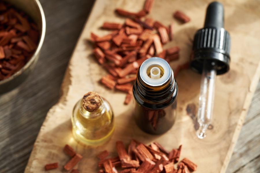 【どこよりも詳しい精油の話・5】サンダルウッドの歴史と魅力＜魅力編＞