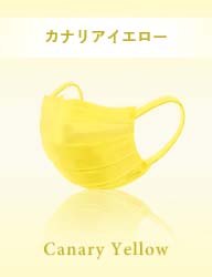 Canary Yellow カナリアイエロー