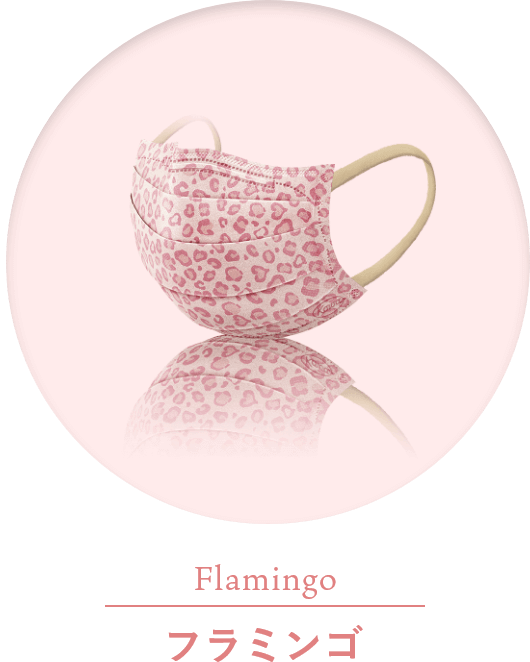 Flamingo フラミンゴ