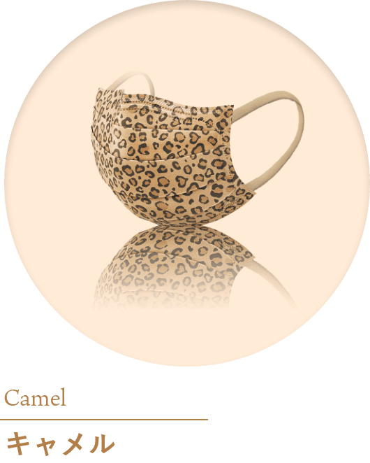Camel キャメル
