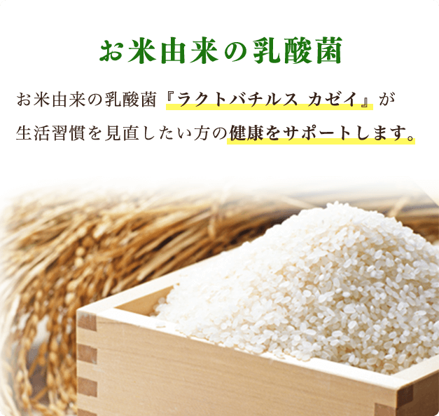 お米由来の乳酸菌 お米由来の乳酸菌『ラクトバチルス カゼイ』が生活習慣を見直したい方の健康をサポートします。